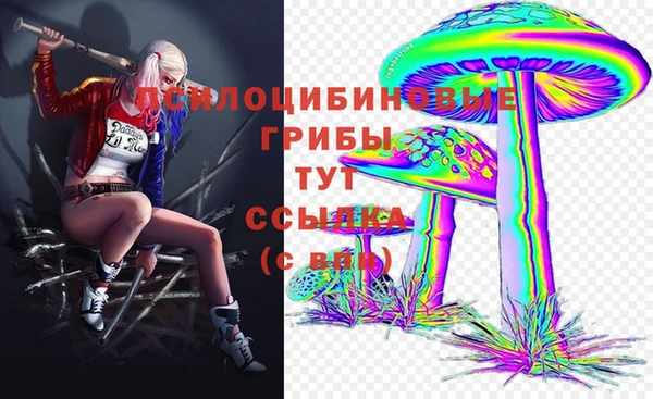 2c-b Краснослободск